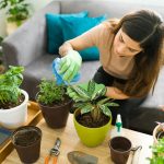 art of home gardening