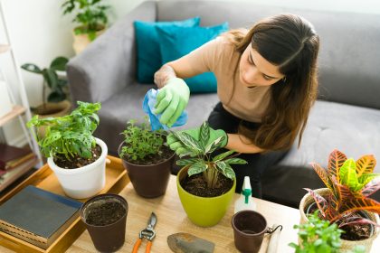 art of home gardening